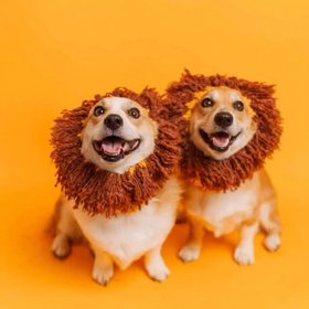Zoo Snoods