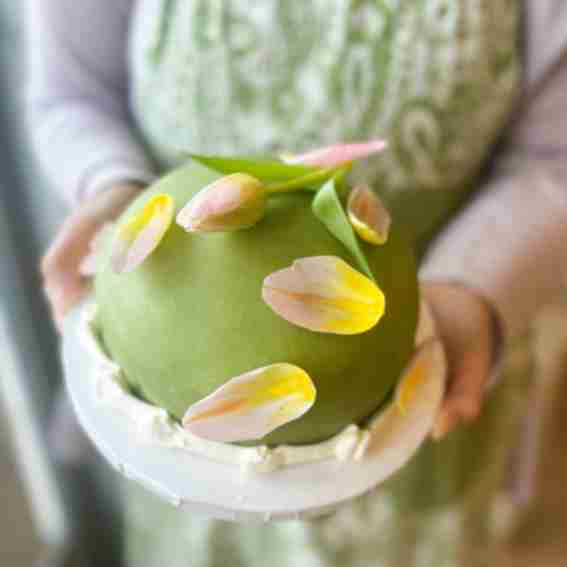 Cake Bloom Cville Reviews