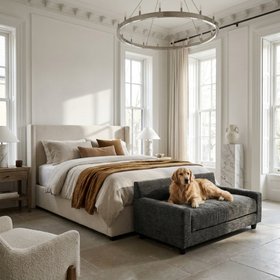 Club Nine Pets