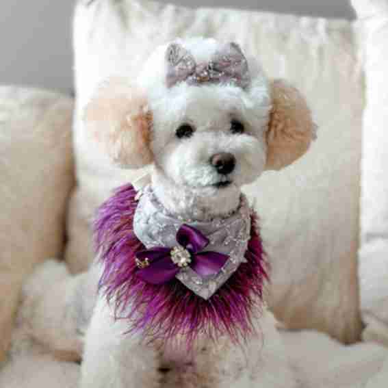 Little Maggie & Co. Reviews
