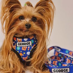 Zoopeez