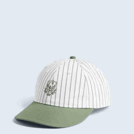 Work In Progress Linus Cap