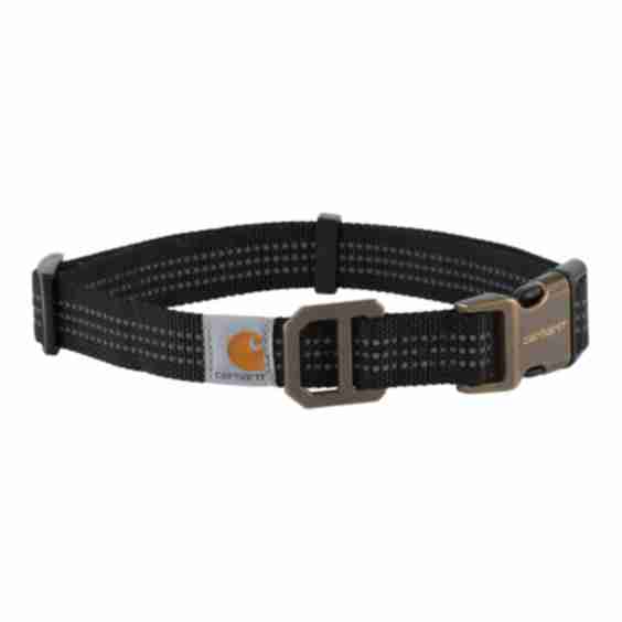 Dog Leash