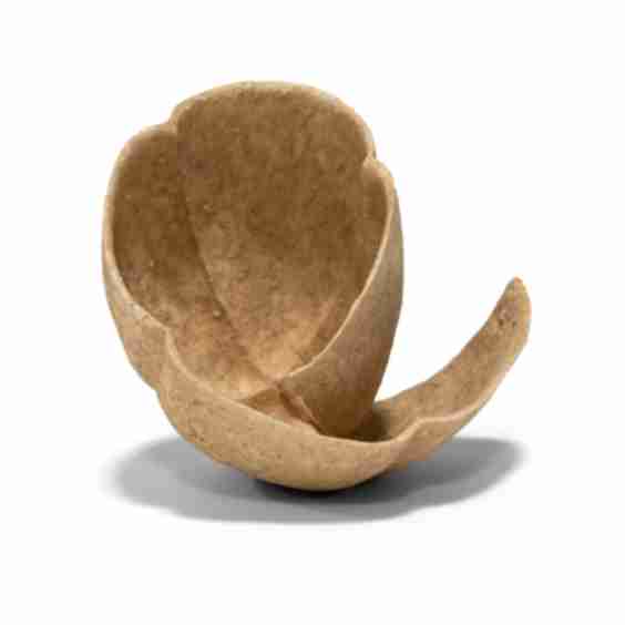 Keita Matsunaga, Palm 掌 1