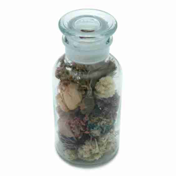 Megumi Shinozaki, Pot-pourri (Medium)