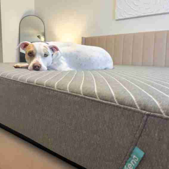 Siena Sleep Reviews