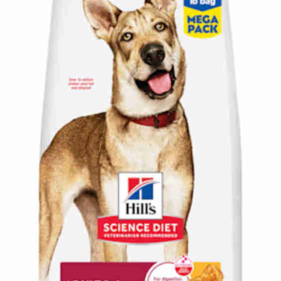 Lamb Meal and Brown Rice Recipe Large Breed Puppy Dry Food