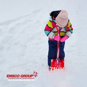 EMSCO group