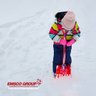 EMSCO group