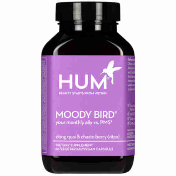 Moody Bird