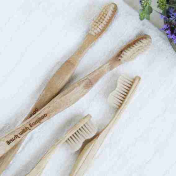 Brush with Bamboo Reviews