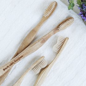 Brush with Bamboo
