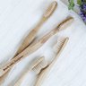 Brush with Bamboo
