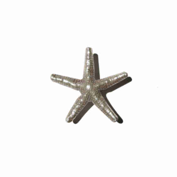 Sterling Silver Starfish Pendant