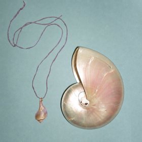 Jewels di mare