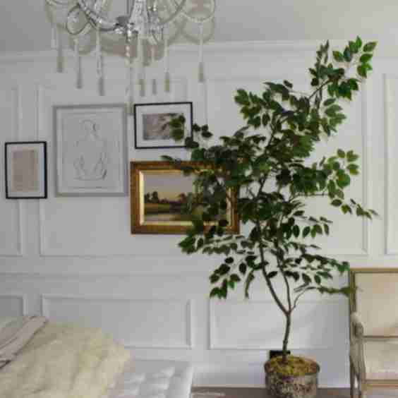 Artificial Ficus H 220cm with pot and moss