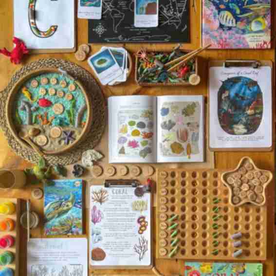 Stephanie Hathaway Designs Reviews