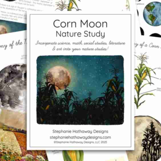 Corn Moon Nature Study