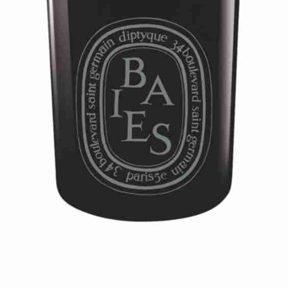 Buy Diptyque Baies Candle | Thingtesting