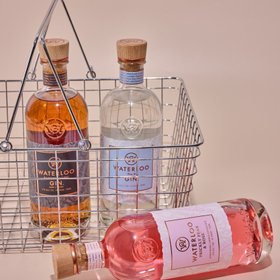Waterloo Gin