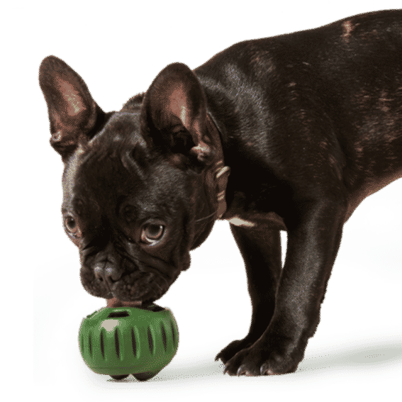 Woof Reviews