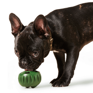 Woof