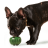 Woof