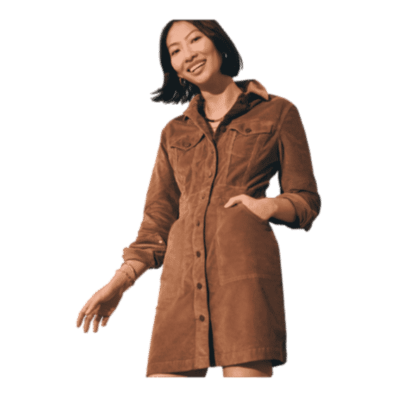 Stretch Cord Michelle Dress 