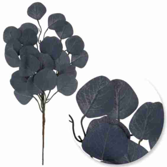 Eucalyptus Spray