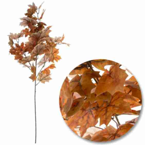 Canada Maple Leaf Branch