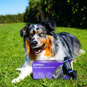 PetPace