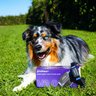 PetPace
