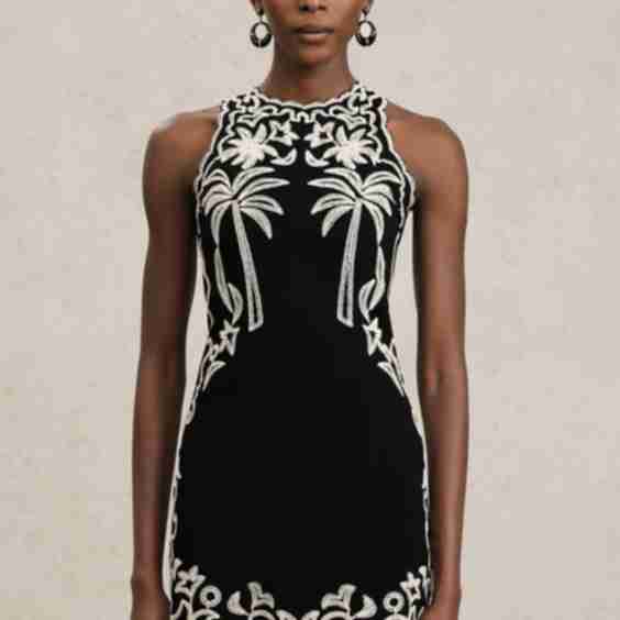 Eleni Sleeveles Round Neck Embroidery Mini Dress
