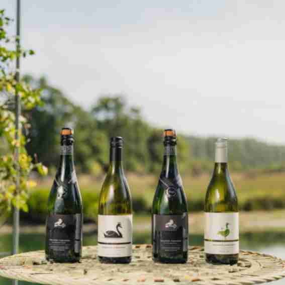 Birchden Vineyards Reviews