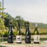 Birchden Vineyards