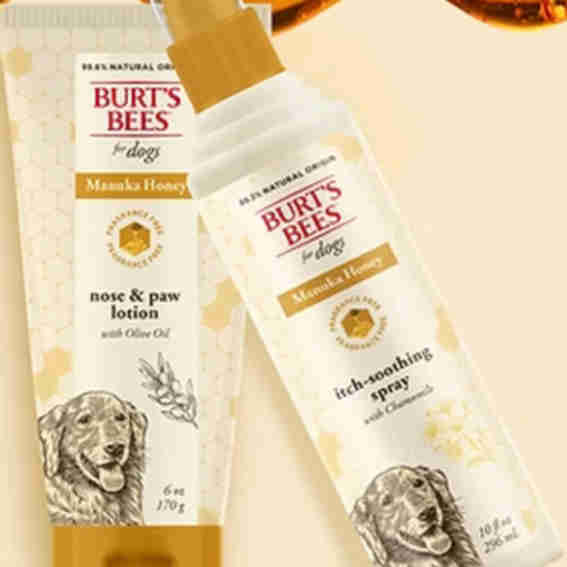 Burt's Bees for Pets Reviews