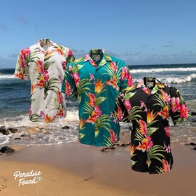 Paradise Found