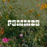 Femmze