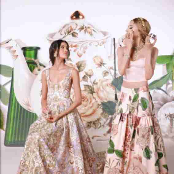 Alice Olivia Reviews