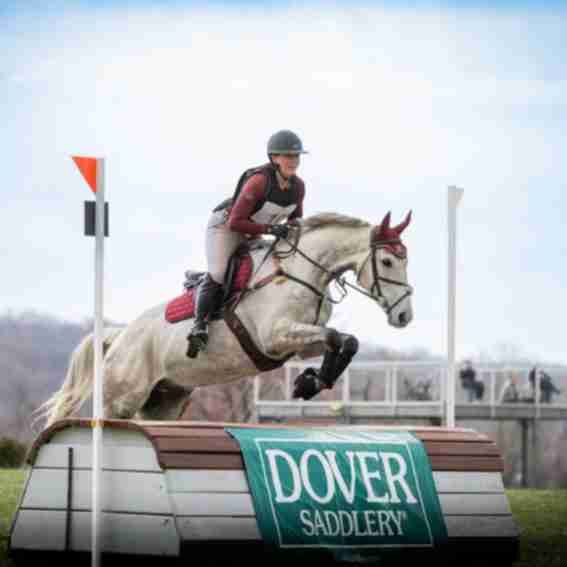 Dover Saddlery Reviews