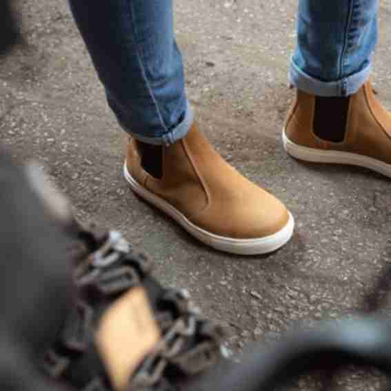 Mellow Walk Reviews