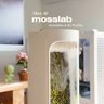 Moss Lab