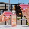 LUSHDROP Bev. Co.