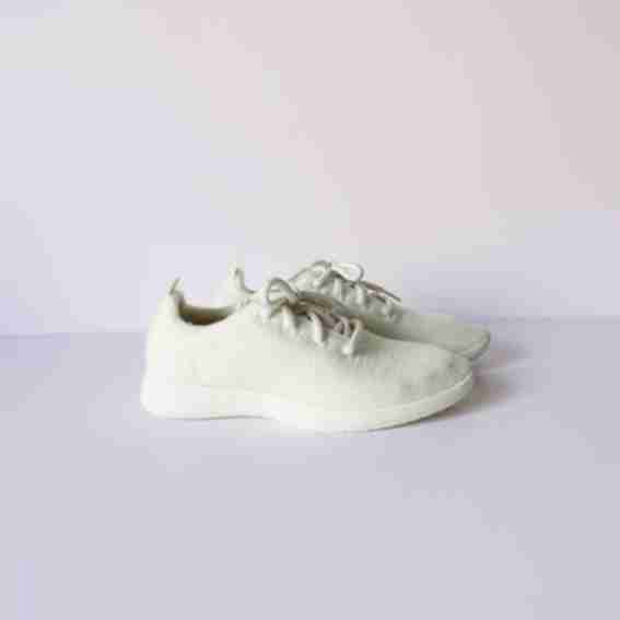 Allbirds Reviews