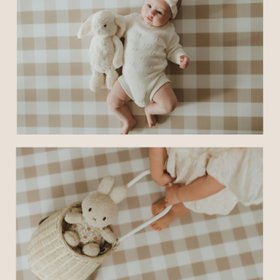Munchkin & Bear