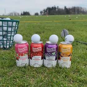 Welch's
