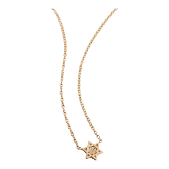 14k Midi Star of David Necklace