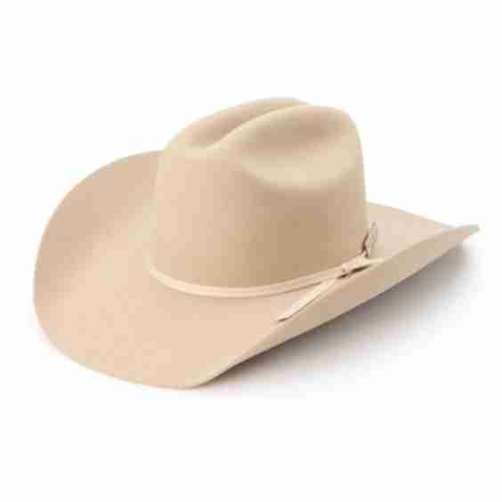 Longhorn 4 X Hat Stone