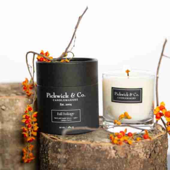 Pickwick and Co. Reviews
