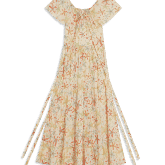 Chloe Dress In Sea Stars